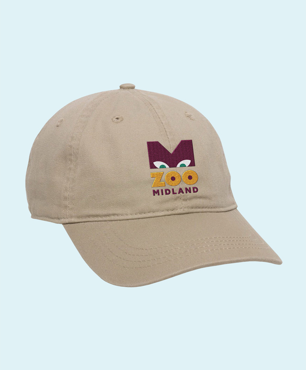 Embroidered Cap